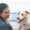 Laura Durango, veterinaria del Centro de Bienestar La Perla, fue la encargada de seguir el caso de Analí, y ahora son inseparables. FOTO: CORTESÍA ALCALDÍA DE MEDELLÍN