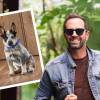 El cantante compartió fotos del pastor australiano que lo acompaña últimamente. FOTOS: INSTAGRAM @LUCASARNAU