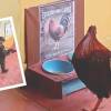 El gallo pudo regresar a comer en la ‘Estación para Claudio’, un espacio que le tienen reservado al animalito para que se alimente y beba agua. FOTO: CORTESÍA