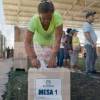 Del total de personas aptas para sufragar, 27.964 son mujeres y 25.908 son hombres, de acuerdo con la información entregada por la Registraduría Nacional del Estado Civil. FOTOS: CORTESÍA