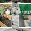La cocaína estaba escondida en panela pulverizada. FOTOS: X @POLICIACOLOMBIA