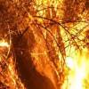 Incendios en Boquerón (San Cristóbal). FOTO: CAPTURA DE VIDEO DAGRD