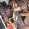 Rescate de un bebé bajo los escombros en Cali. FOTO: REDES