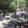 Esta es la quebrada Santa Elena, donde encontraron el cuerpo de Marlon Exneyder Gutiérrez Arias. FOTO: GUILLERMO OSPINA MUÑOZ