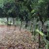 En esta zona, al lado de la cancha el Danubio, ocurrió la balacera. FOTO: LAURA ROSA JIMÉNEZ VALENCIA