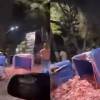 Así se veía la cantidad de alimentos regados en la vía pública. FOTOS: CAPTURAS DE VIDEO FACEBOOK PRENSA PAISA