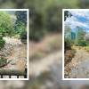 Este es el antes y después de la tala de árboles que habría ocurrido en La Presidenta, en El Poblado. FOTOS: CORTESÍA