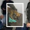 El hombre llegó con el perro, quien se mostraba intimidado. <b><span class="mln_small-caps_mln">/FOTOS: POLICÍA ANTIOQUIA</span></b>