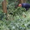 Hallazgo y levantamiento del cuerpo descompuesto en zona rural de Andes. FOTO: TOMADA DE CONEXIÓN SUR