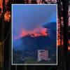 Las llamas consumieron 10 hectáreas de bosque. FOTO: ENFOQUE CINCO