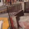 Vecinos denunciaron en las primeras horas de la mañana el desastre que ocasionó la ruptura de un tubo. FOTO: CAPTURA DE PANTALLA FACEBOOK GENTEENVIGADO