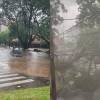 Estragos generados por las fuertes lluvias que cayeron en Medellín y en el Valle de Aburrá. FOTOS: CORTESÍA