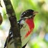 Las reservas San Miguel y Volcana Miserenga, los cerros El Volador, Nutibara y El Picacho serán escenarios de una programación que conecta biodiversidad, conocimiento científico y cultura. FOTO: ALCALDÍA DE MEDELLÍN