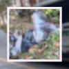 El cuerpo fue tirado en una cuneta y encontrado por la comunidad. FOTOS: CORTESÍA