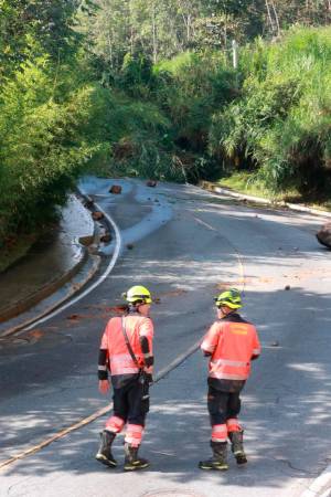 /FOTO: MANUEL SALDARRIAGA. 