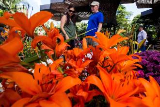 ¿Qué hay para hacer hoy martes 4 de agosto en la Feria de Flores 2026?