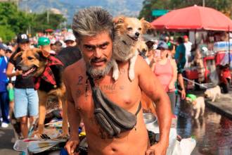 Los más peludos se gozaron la Caminata Canina y de Mascotas 2026