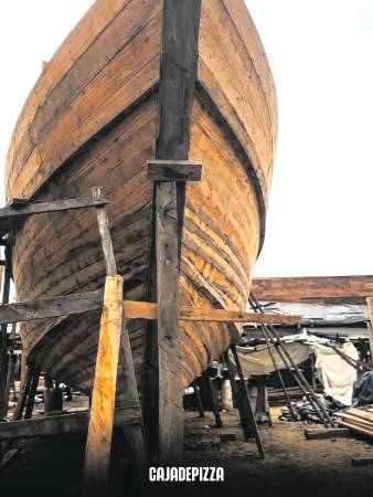 Las arcas están prácticamente listas para “salvar a la humanidad”.