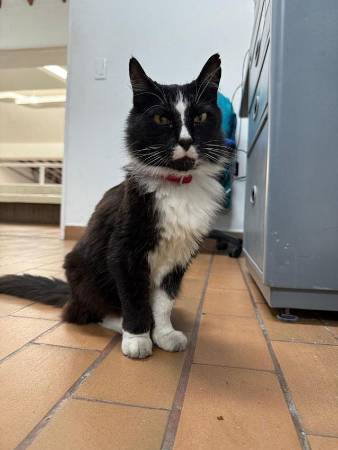 FOTO: ALCALDÍA DE MEDELLÍN