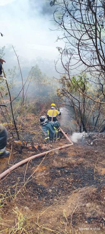Incendio en el sector de Manantiales, en Granizal. FOTO: CORTESÍA ALCALDÍA DE BELLO