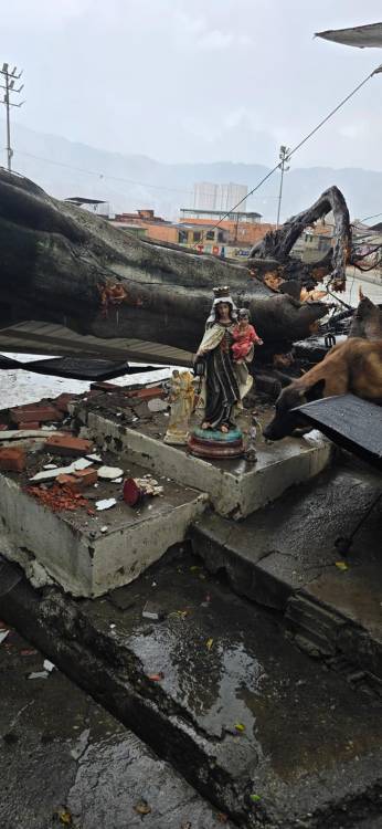 FOTO: DENUNCIAS ANTIOQUIA