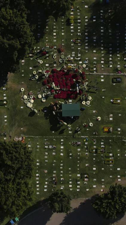 Toma aérea de los aportes florales. FOTO: TOMADA DE CNN MÉXICO