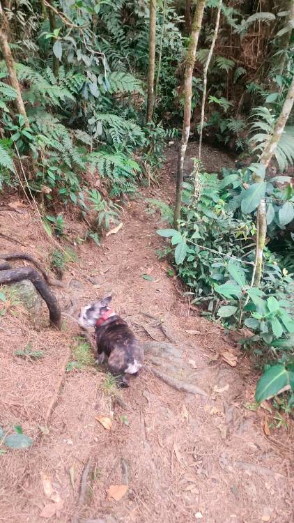 En este sector ocurrió la caída fatal de la joven. /FOTO: CORTESÍA BOMBEROS ENVIGADO