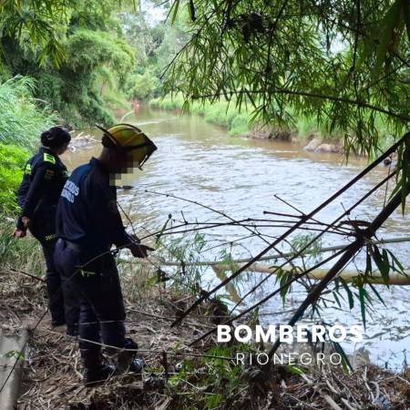 Hallan cuerpo sin vida en río de Rionegro. FOTO: BOMBEROS RIONEGRO