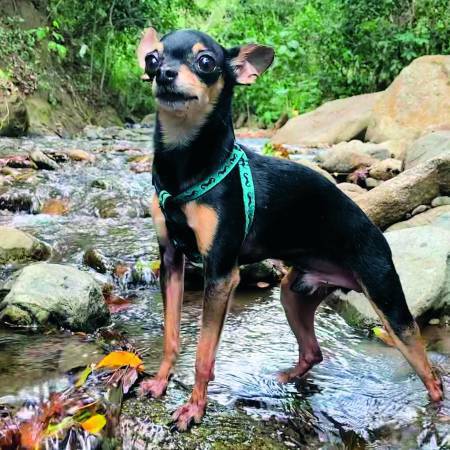 Marcelo posando imponente. FOTO: CORTESÍA