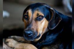 FOTO: ARCHIVO - EL COLOMBIANO