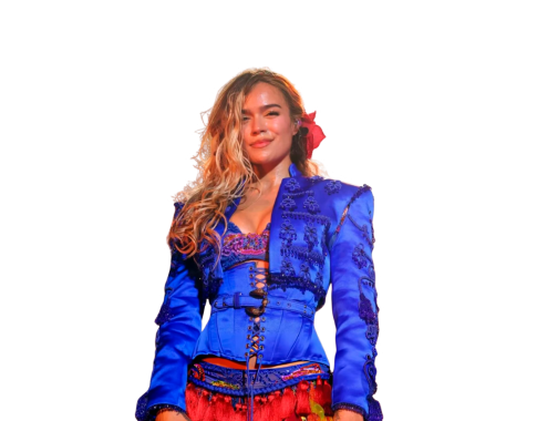 Imagen Silueta Banner (7)