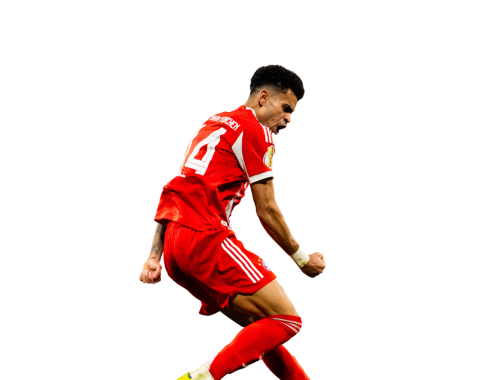 Imagen Silueta LUCHO