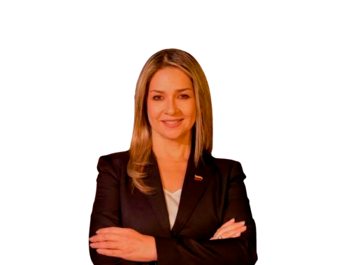 Imagen Silueta Banner (3)