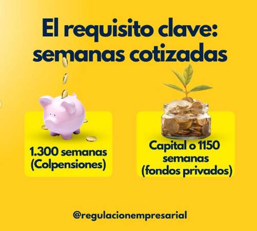 Tomado de @regulacionempresarial