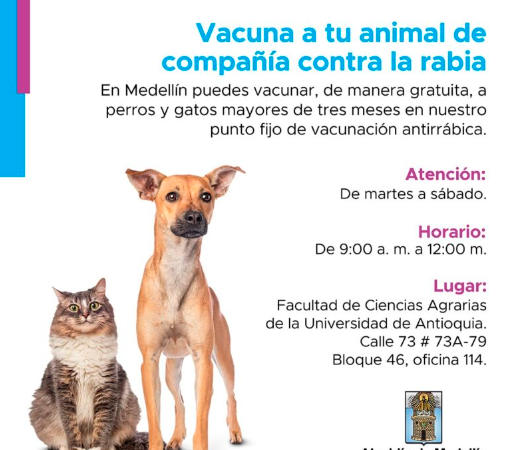 /FOTO: ALCALDÍA DE MEDELLÍN 