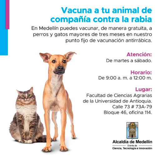 /FOTO: ALCALDÍA DE MEDELLÍN