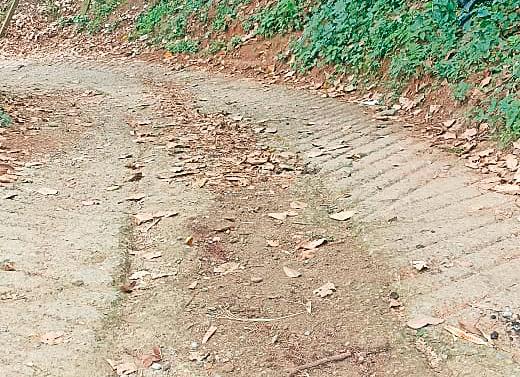 / FOTO: ALEJANDRA MORALES