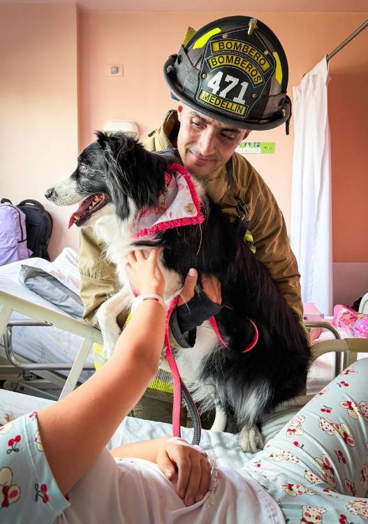 Hasta mascotas llevaron los bomberos. FOTO: ALCALDÍA DE MEDELLÍN