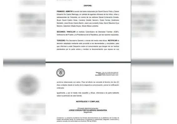 La demanda fue presentada en noviembre pero recientemente fue aceptada por el Consejo de Estado. /FOTO: TOMADA DE REDES SOCIALES
