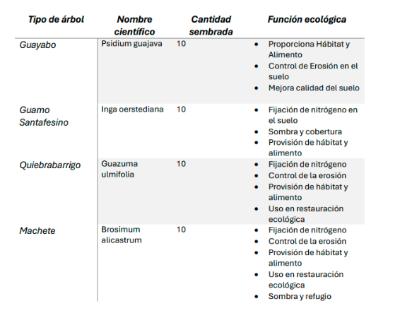 Tipos de árboles plantados por Samy.