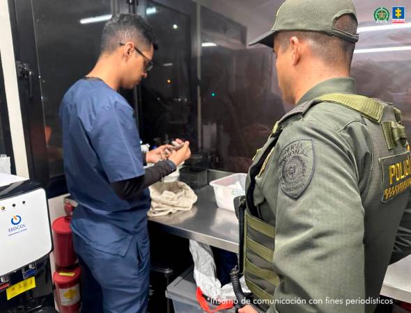 Las dos boas constrictor quedaron en poder de las autoridades competentes, las cuales se encargaron de valorarlas. /FOTO: CORTESÍA