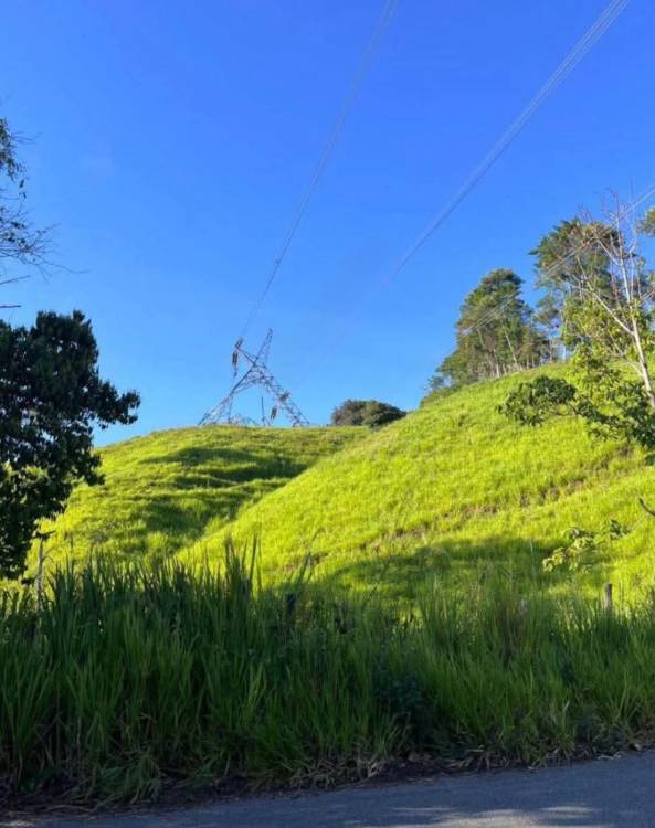 /FOTO: DENUNCIAS ANTIOQUIA