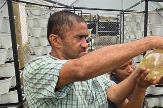 Las huertas han sido una alternativa para las familias del sector. FOTO: JAIDER ESCOBAR