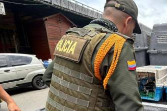 En el operativo en la Minorista rescataron gatos, gallinas y hámsters. /FOTO: CORTESÍA POLICÍA METROPOLITANA