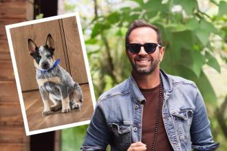 El cantante compartió fotos del pastor australiano que lo acompaña últimamente. FOTOS: INSTAGRAM @LUCASARNAU
