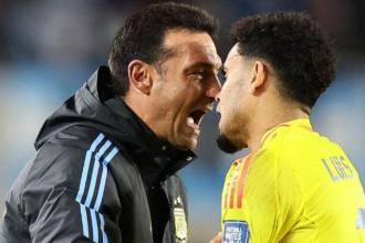 El hecho se presentó al final del partido entre la selección de Argentina y su similar de Colombia. / FOTO: X @giraltpablo