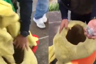 /FOTO: TOMADA DE VIDEO