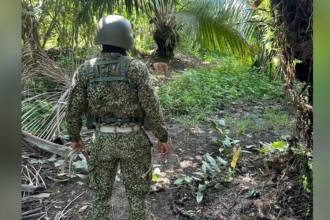 El Ejército llevará a cabo varios operativos para dar con los criminales. FOTO: COLPRENSA