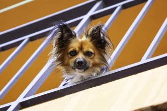 Imagen de referencia para ilustrar la nota. FOTO: CANVA