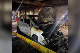La situación fue atendida por una tripulación del Cuerpo de Bomberos Medellín. FOTO: ANTIOQUIA CONECTA